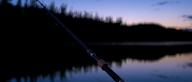 How to choose a spinning rod for beginners?