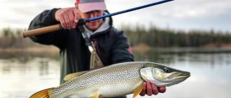 Fiske etter gjedde på spinn