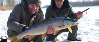 Winter fishing. Blessing