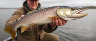 Frühlingshecht beim Spinnfischen