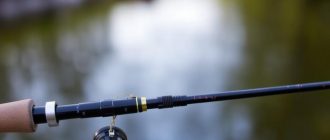 How to choose a feeder rod?