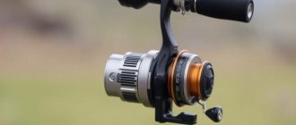 Choosing a non-inertial reel in the budget segment: how not to make a mistake?